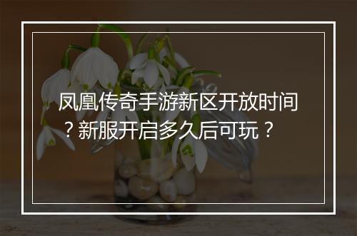 凤凰传奇手游新区开放时间？新服开启多久后可玩？