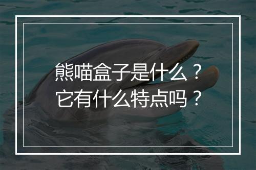 熊喵盒子是什么？它有什么特点吗？