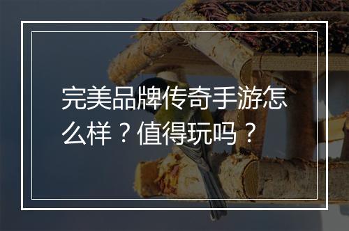 完美品牌传奇手游怎么样？值得玩吗？