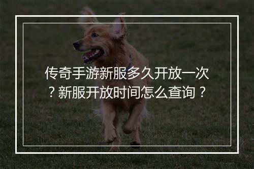传奇手游新服多久开放一次？新服开放时间怎么查询？