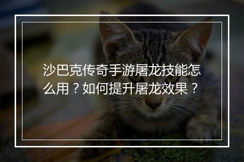 沙巴克传奇手游屠龙技能怎么用？如何提升屠龙效果？