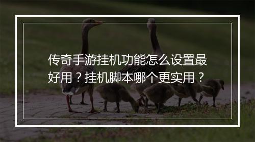 传奇手游挂机功能怎么设置最好用？挂机脚本哪个更实用？
