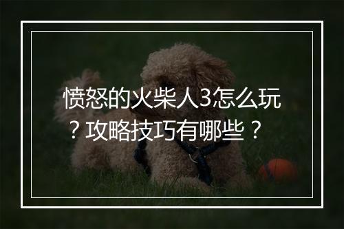 愤怒的火柴人3怎么玩？攻略技巧有哪些？
