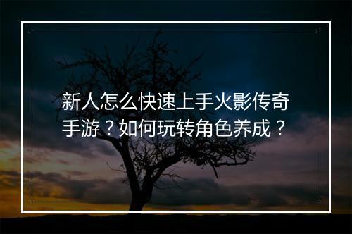新人怎么快速上手火影传奇手游？如何玩转角色养成？