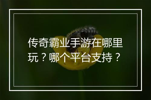传奇霸业手游在哪里玩？哪个平台支持？