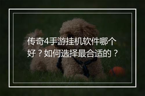 传奇4手游挂机软件哪个好？如何选择最合适的？