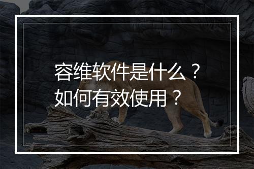 容维软件是什么？如何有效使用？