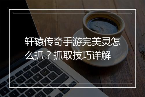 轩辕传奇手游完美灵怎么抓？抓取技巧详解