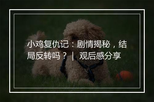 小鸡复仇记：剧情揭秘，结局反转吗？｜ 观后感分享
