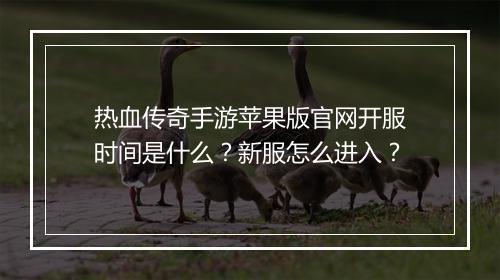 热血传奇手游苹果版官网开服时间是什么？新服怎么进入？