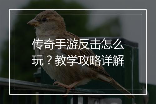 传奇手游反击怎么玩？教学攻略详解