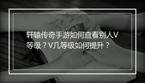 轩辕传奇手游如何查看别人V等级？V几等级如何提升？