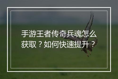 手游王者传奇兵魂怎么获取？如何快速提升？