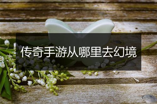 传奇手游从哪里去幻境