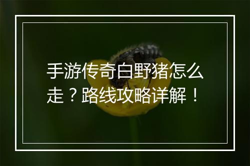 手游传奇白野猪怎么走？路线攻略详解！