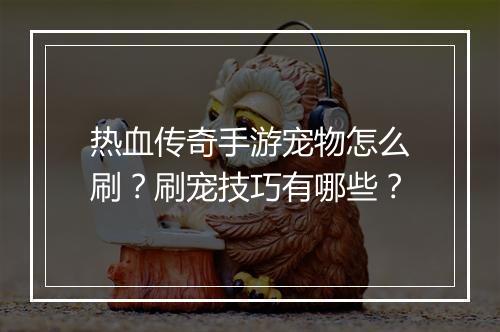 热血传奇手游宠物怎么刷？刷宠技巧有哪些？