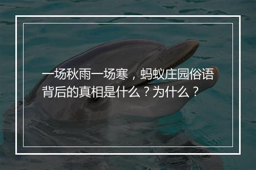 一场秋雨一场寒，蚂蚁庄园俗语背后的真相是什么？为什么？
