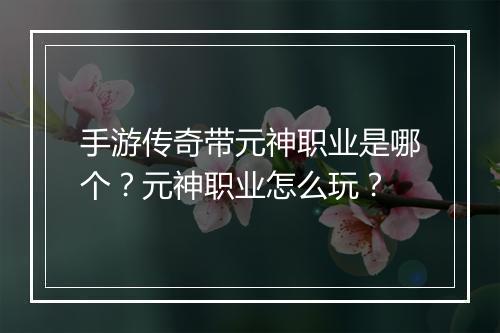 手游传奇带元神职业是哪个?元神职业怎么玩?