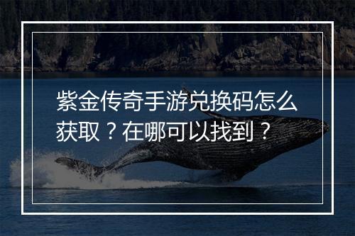紫金传奇手游兑换码怎么获取？在哪可以找到？