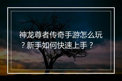 神龙尊者传奇手游怎么玩？新手如何快速上手？