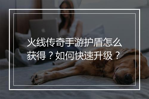 火线传奇手游护盾怎么获得？如何快速升级？