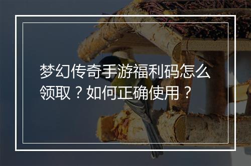 梦幻传奇手游福利码怎么领取？如何正确使用？
