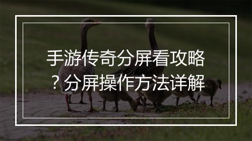 手游传奇分屏看攻略？分屏操作方法详解