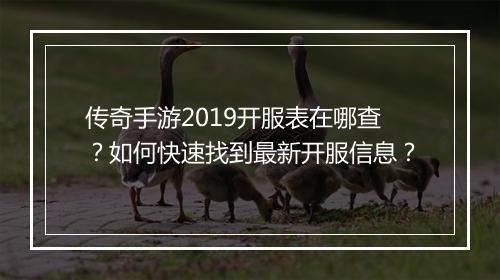 传奇手游2019开服表在哪查？如何快速找到最新开服信息？