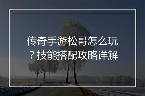 传奇手游松哥怎么玩？技能搭配攻略详解
