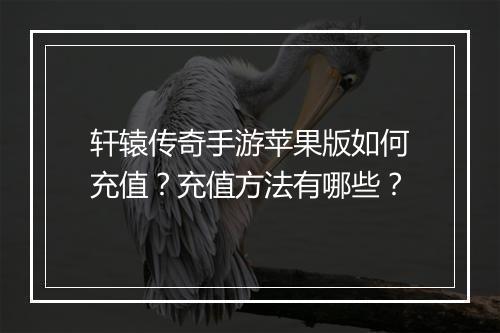 轩辕传奇手游苹果版如何充值？充值方法有哪些？