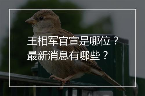 王相军官宣是哪位？最新消息有哪些？