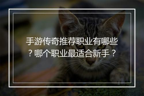 手游传奇推荐职业有哪些？哪个职业最适合新手？