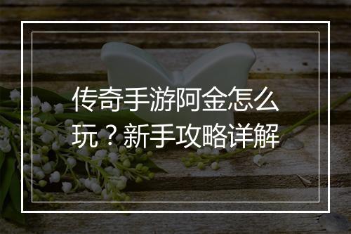 传奇手游阿金怎么玩？新手攻略详解