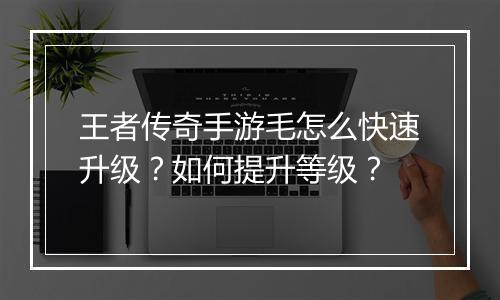 王者传奇手游毛怎么快速升级？如何提升等级？
