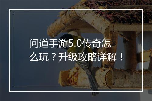 问道手游5.0传奇怎么玩？升级攻略详解！