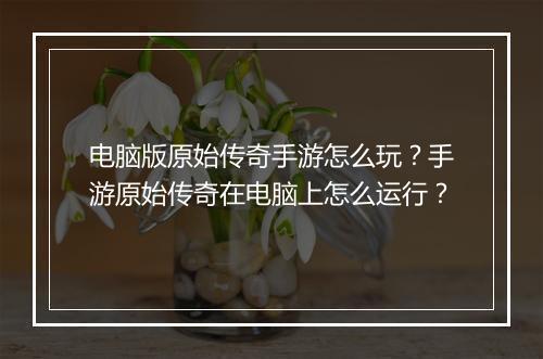 电脑版原始传奇手游怎么玩？手游原始传奇在电脑上怎么运行？