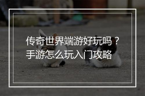 传奇世界端游好玩吗？手游怎么玩入门攻略
