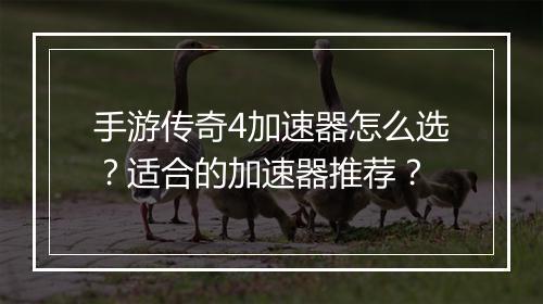 手游传奇4加速器怎么选？适合的加速器推荐？