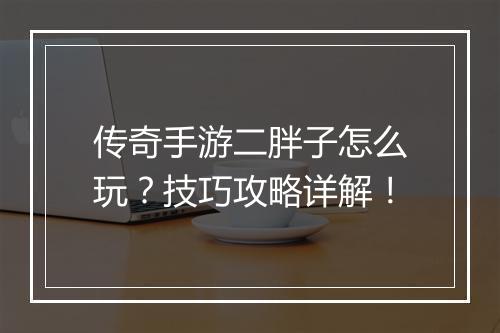 传奇手游二胖子怎么玩？技巧攻略详解！