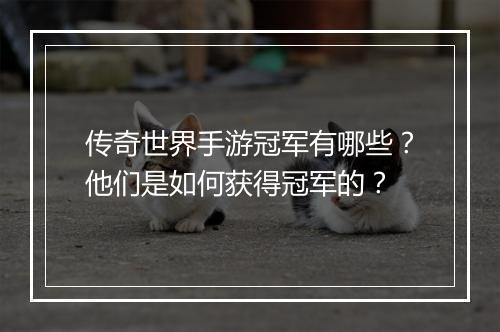 传奇世界手游冠军有哪些？他们是如何获得冠军的？