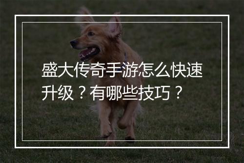 盛大传奇手游怎么快速升级？有哪些技巧？