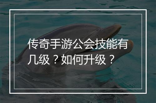 传奇手游公会技能有几级？如何升级？