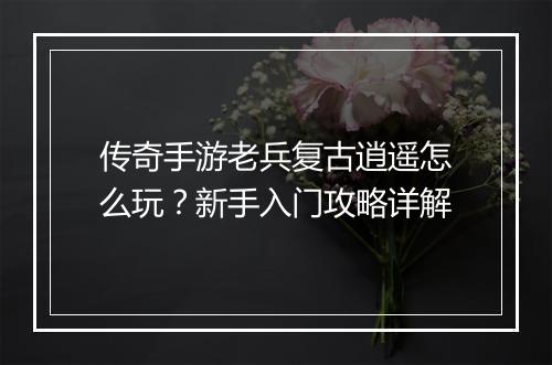 传奇手游老兵复古逍遥怎么玩？新手入门攻略详解