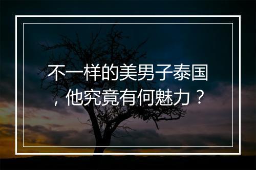 不一样的美男子泰国，他究竟有何魅力？