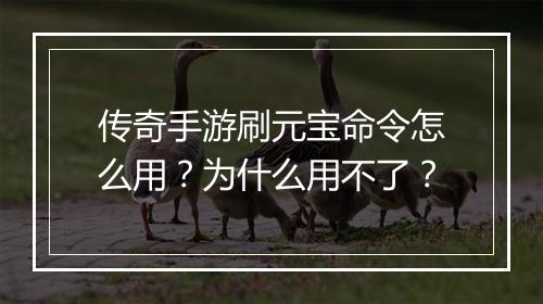 传奇手游刷元宝命令怎么用？为什么用不了？