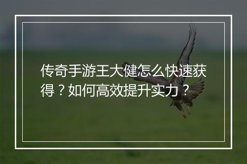 传奇手游王大健怎么快速获得？如何高效提升实力？