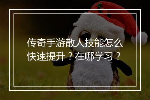 传奇手游散人技能怎么快速提升？在哪学习？