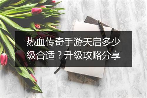 热血传奇手游天启多少级合适？升级攻略分享