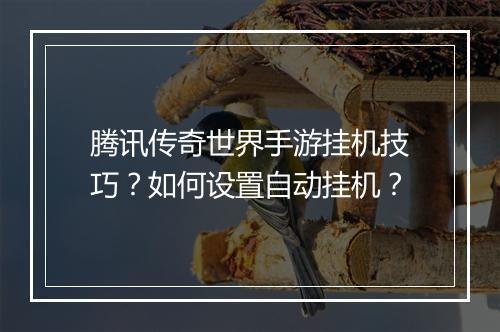 腾讯传奇世界手游挂机技巧？如何设置自动挂机？