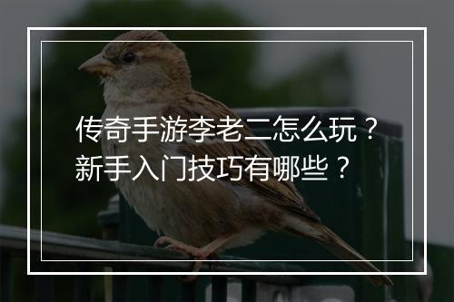 传奇手游李老二怎么玩？新手入门技巧有哪些？